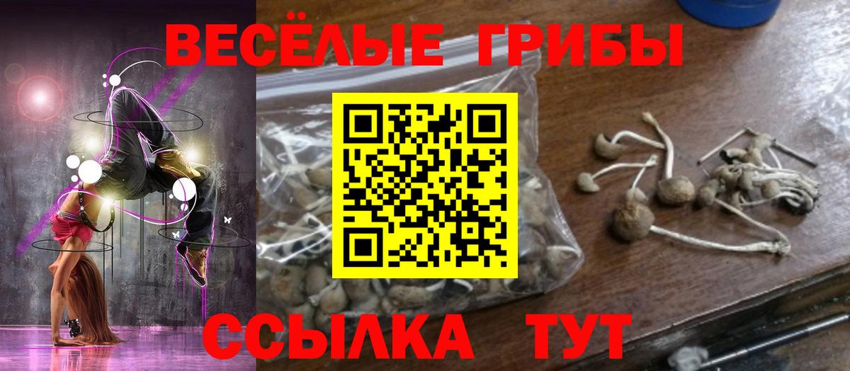 Химки  Псилоцибиновые грибы мухоморы  купить наркотики цена  Вход с VPN  Галлюциногенные грибы Psilocybe 